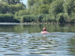 Mainschwimmen Juni 2026